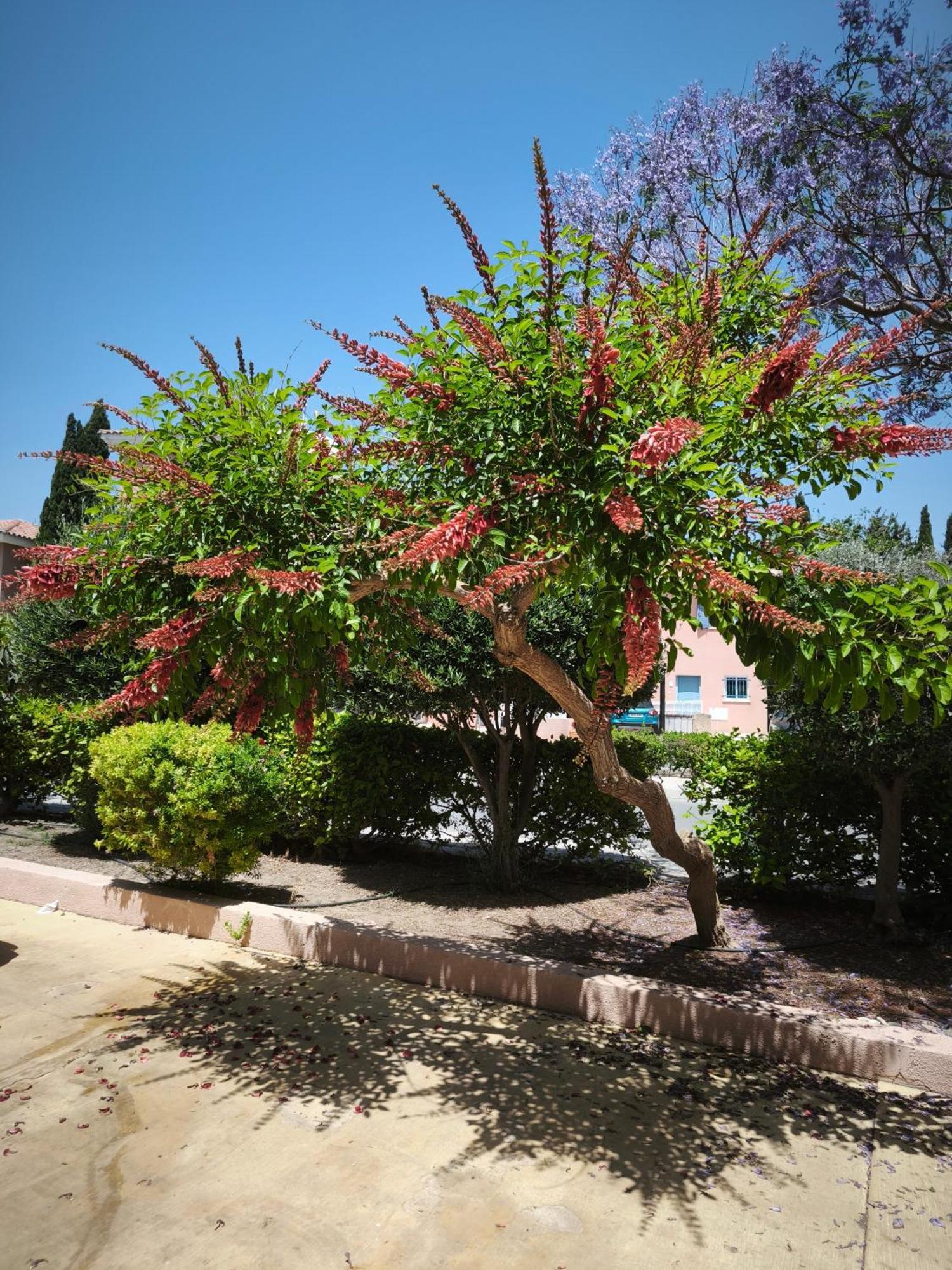 Eden Gardens Villa Paphos Ngoại thất bức ảnh